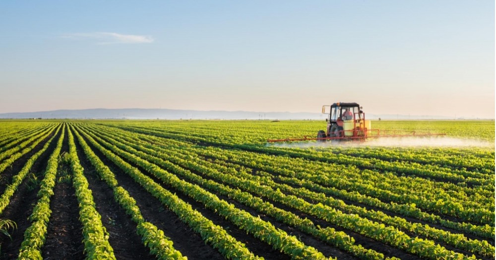 Mercados agrícolas e a Inovação: Regulação de Padrões, Certificações e Rastreabilidade