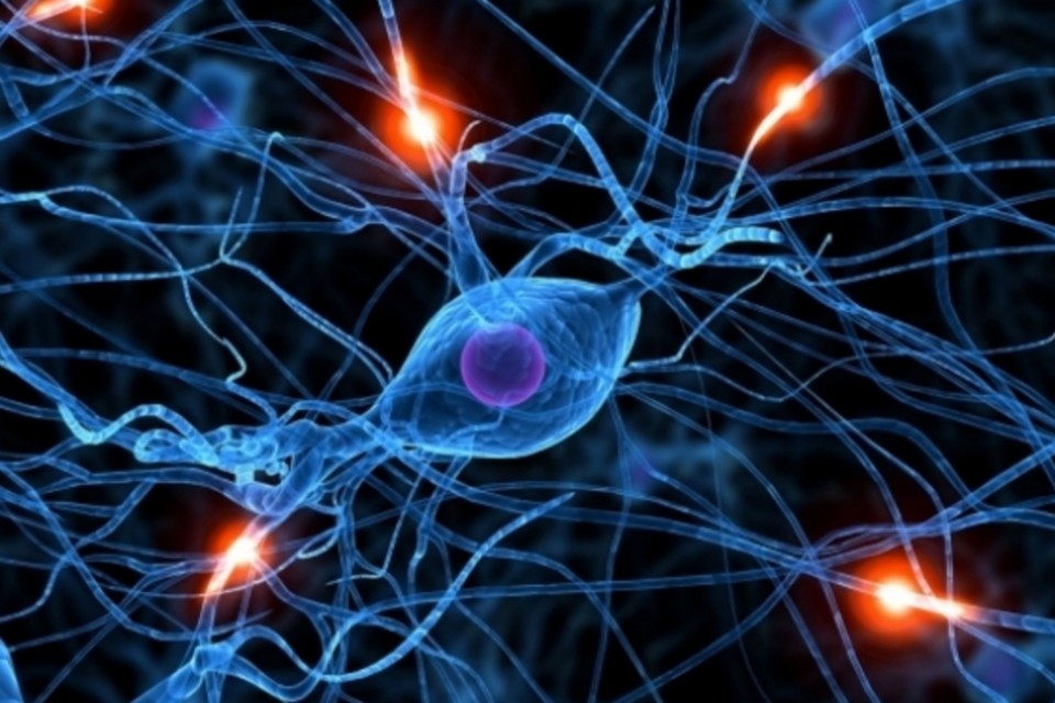 O que é Neurofeedback?
